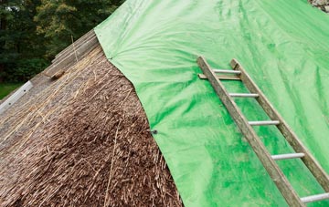 maintaining Seven Star Green thatch